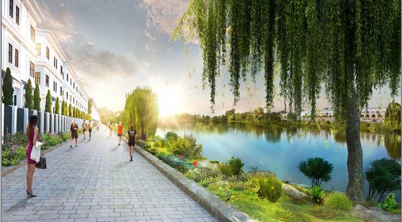 Hình ảnh dự án và hoạt động tư vấn của NESTLAND